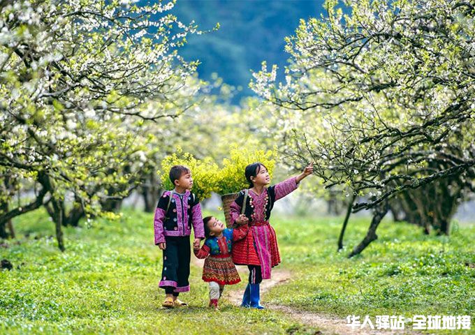 spring-in-vietnam.jpg